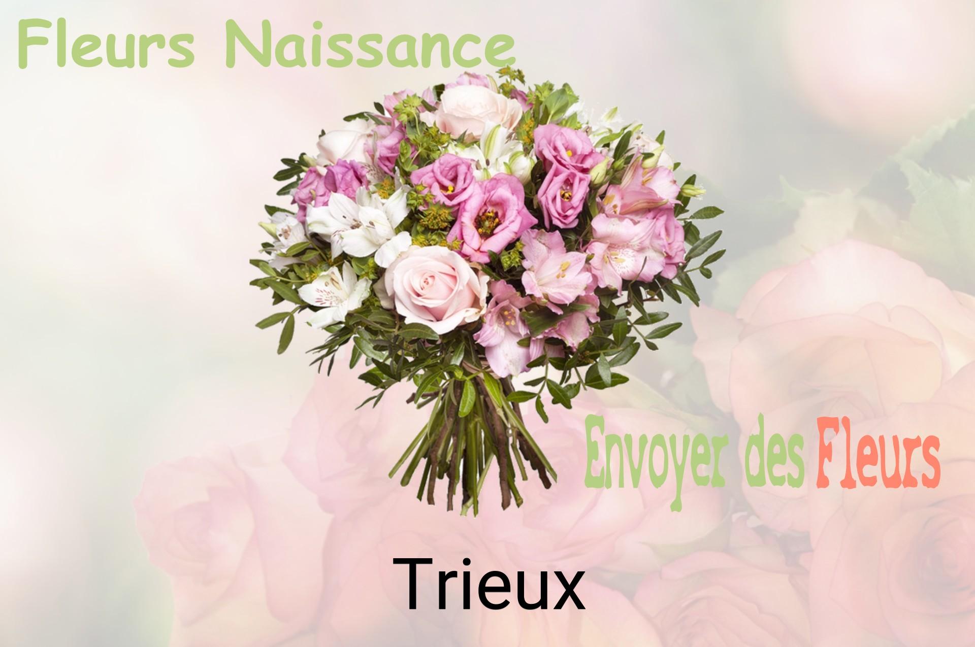 Bouquet de fleurs de naissance livré à Trieux