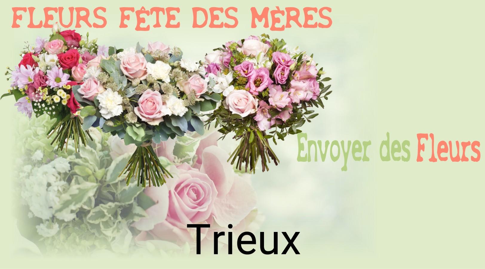 Bouquet de Fête des Mères livré à Trieux